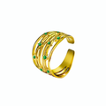 Anello Magnetismo