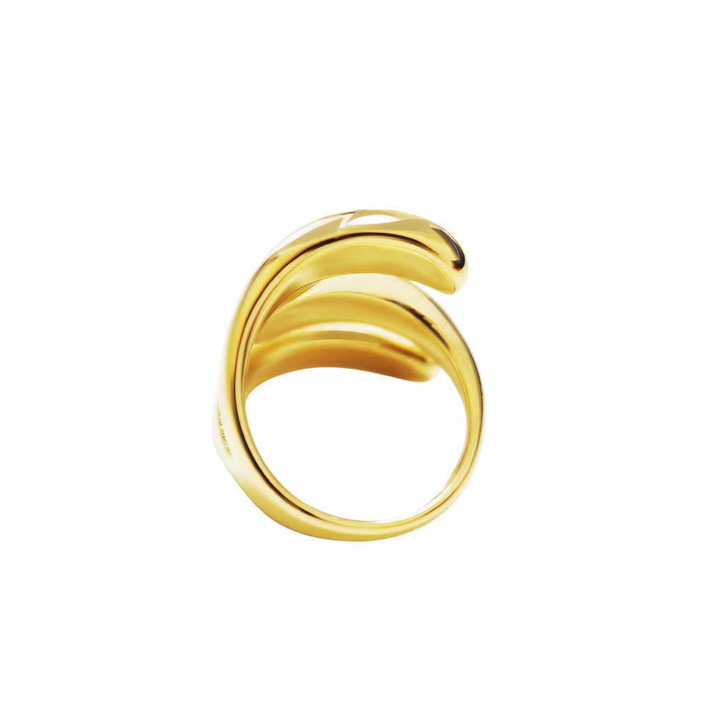 Anello Profilo